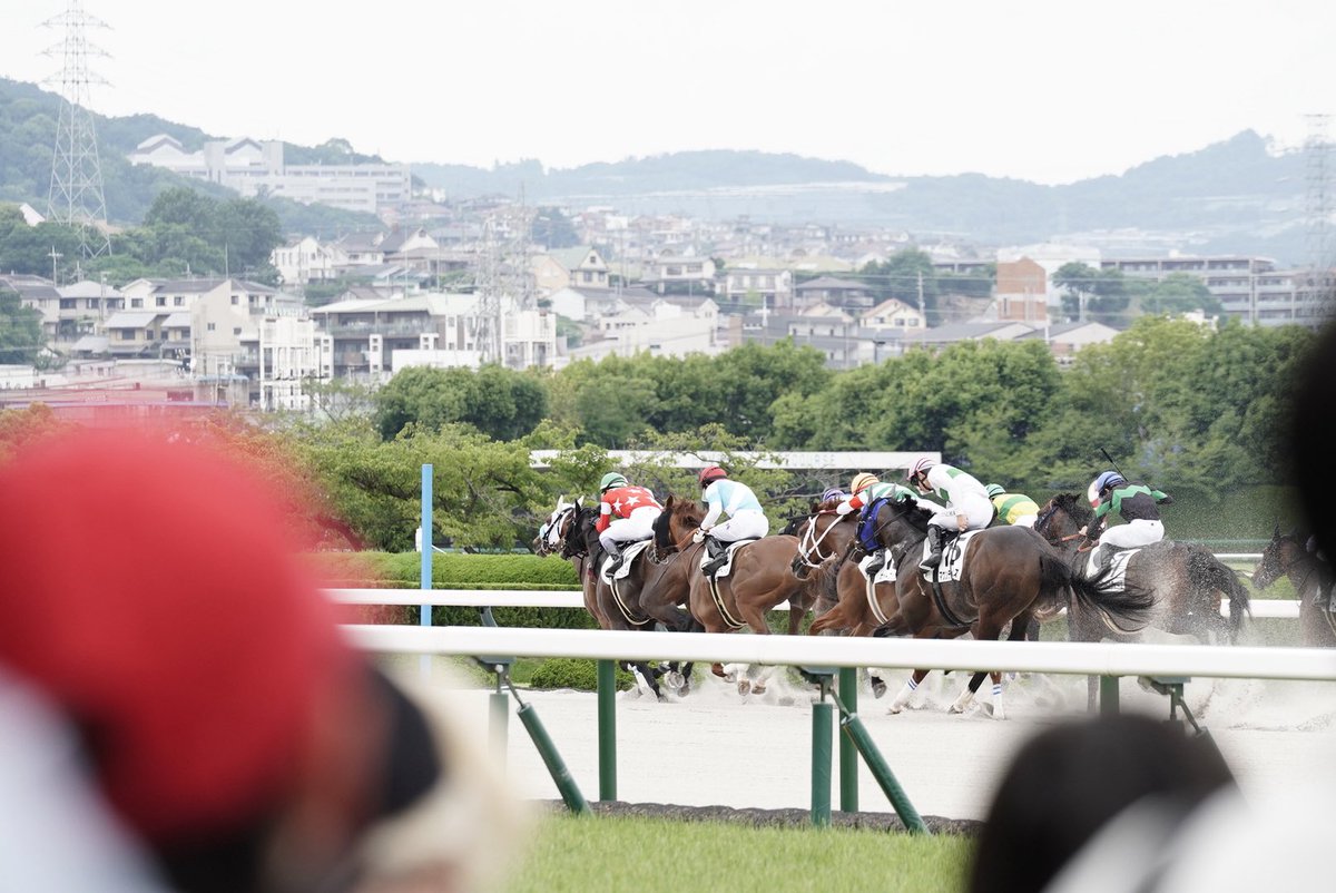 tiskmti's tweet photo. 競馬誘われたので全く知らんけどカメラ持って行ってみたら楽しかった
後に宝塚記念で一着になる武豊氏も撮影できた（4枚目）
なお賭けは全敗した模様 https://t.co/tMMfcdANkM