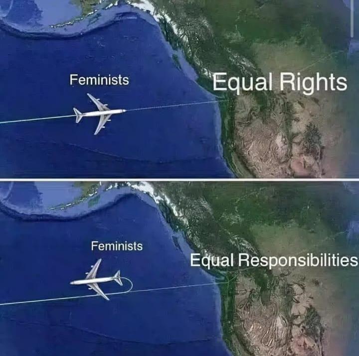 HindutvaNaari's tweet photo. Feminism == Rights without Responsibilities. https://t.co/wKhVhDtTLT
