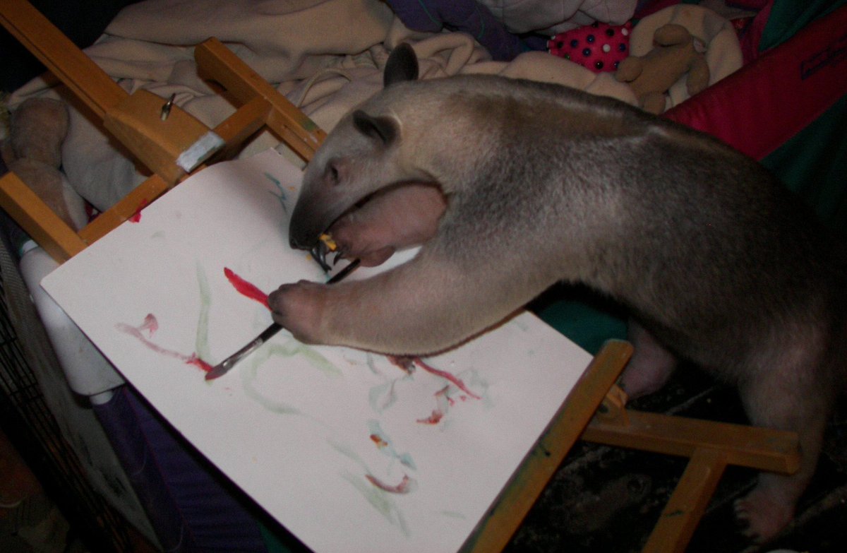 dyllikethepickl's tweet photo. i’m an artist! call me picasso! https://t.co/3pzxUra07N