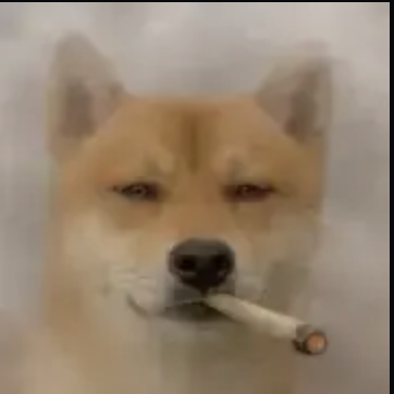 oopsifaded's tweet photo. the dog should be smoking a joint not a cigarette lol https://t.co/w0wKFQMGsU