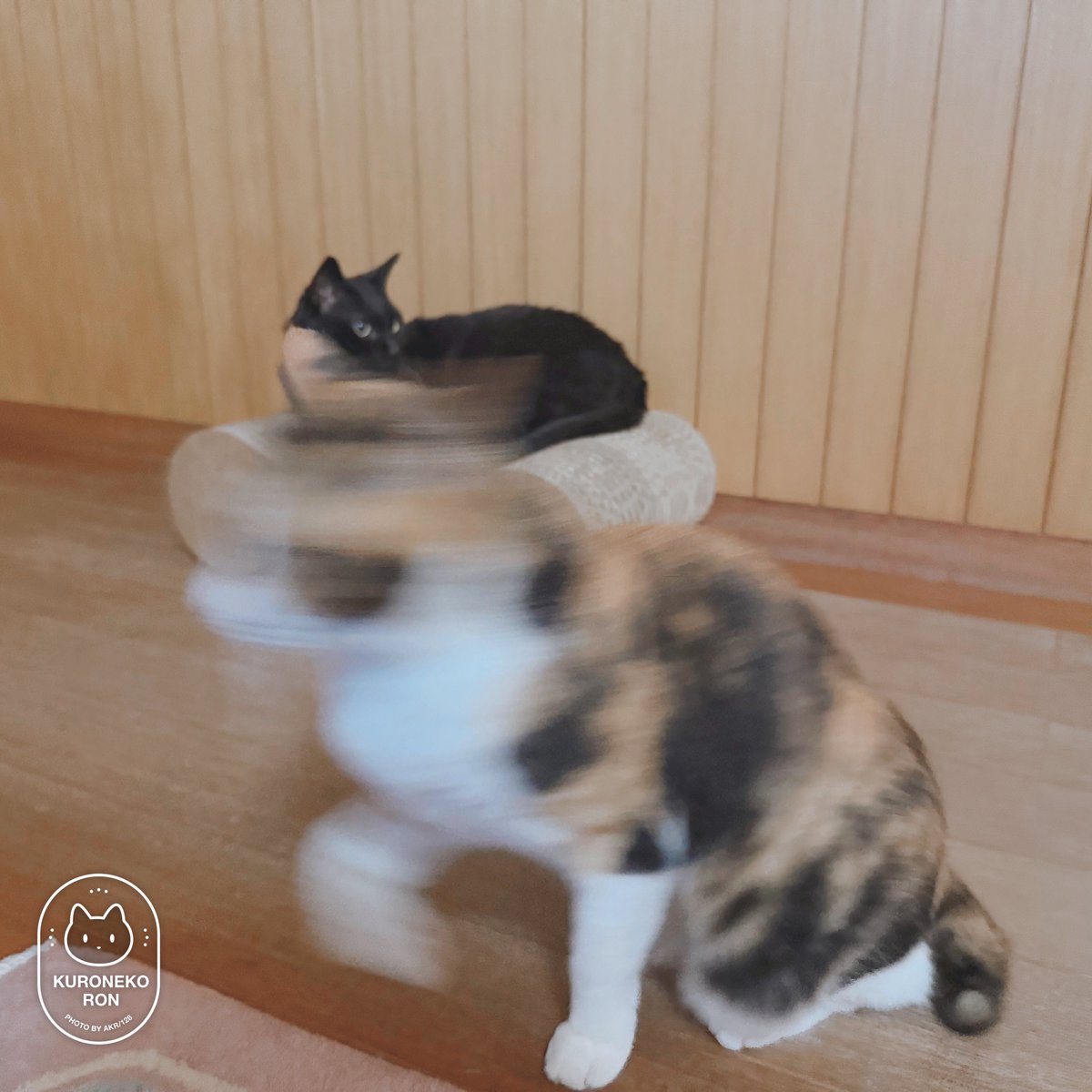 bou128's tweet photo. 残像だ https://t.co/1bEC04EYur