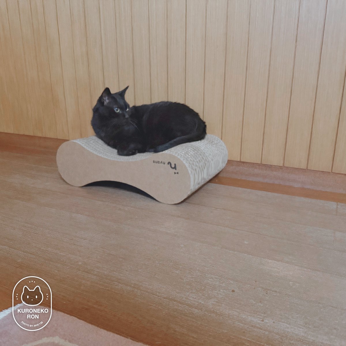 bou128's tweet photo. 残像だ https://t.co/1bEC04EYur