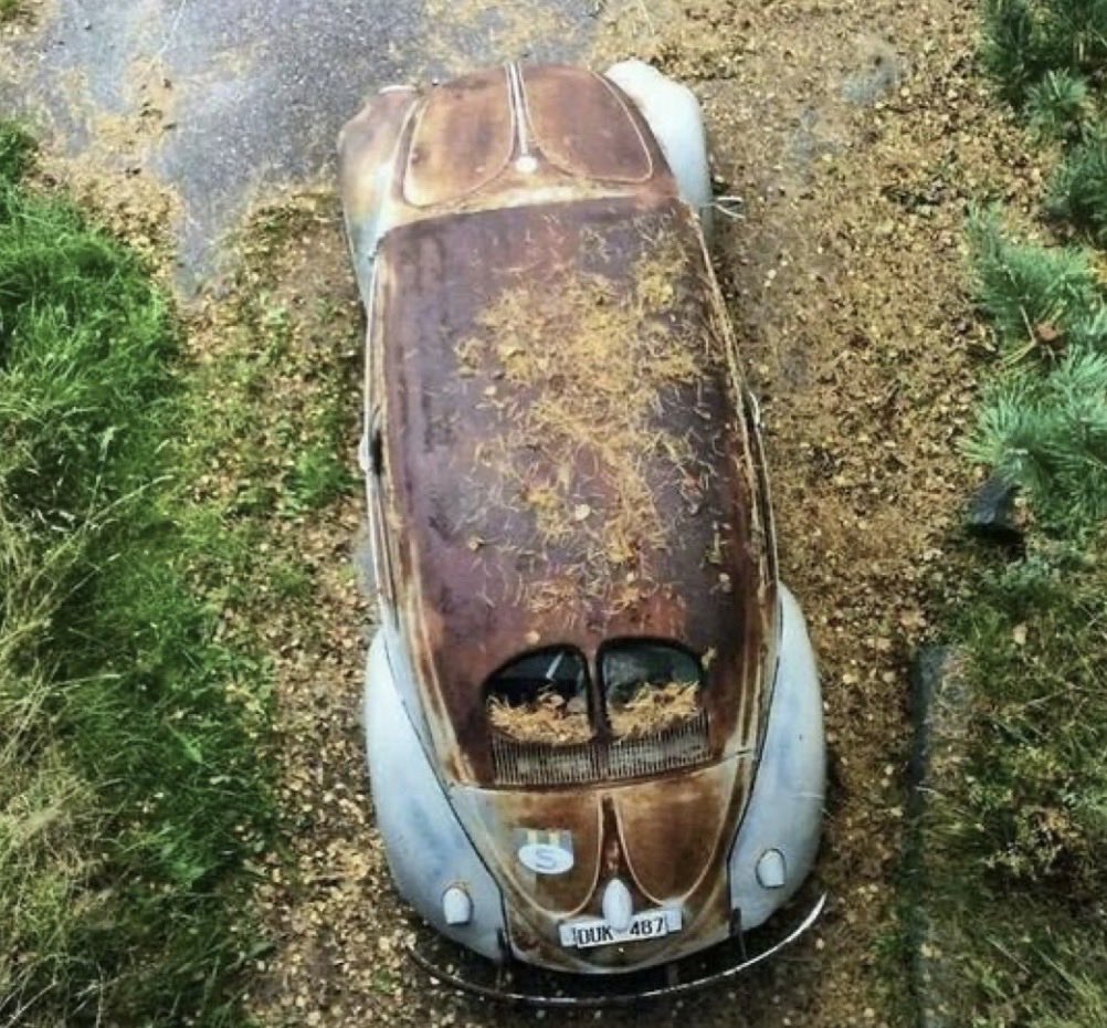 Volkswagen4ever's tweet photo. #vw #volkswagen #zwitter #patina #bug #beetle #split https://t.co/y0EFGiGOTp