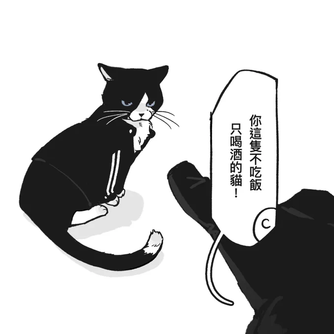 *You cat who only drinks alcohol and doesn't eat food! 