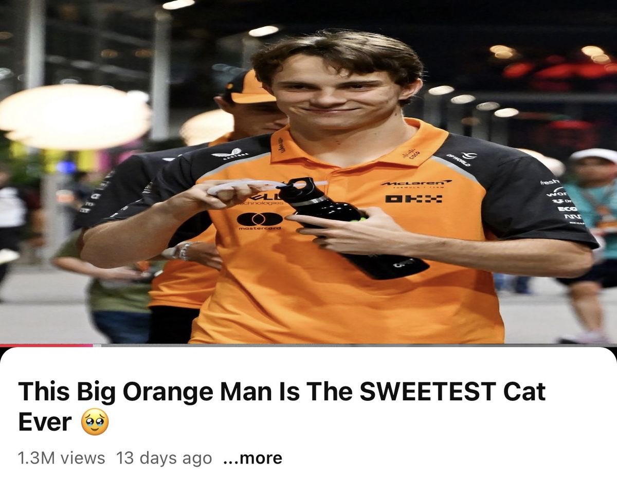 megs ⭐️🐝 tweet media