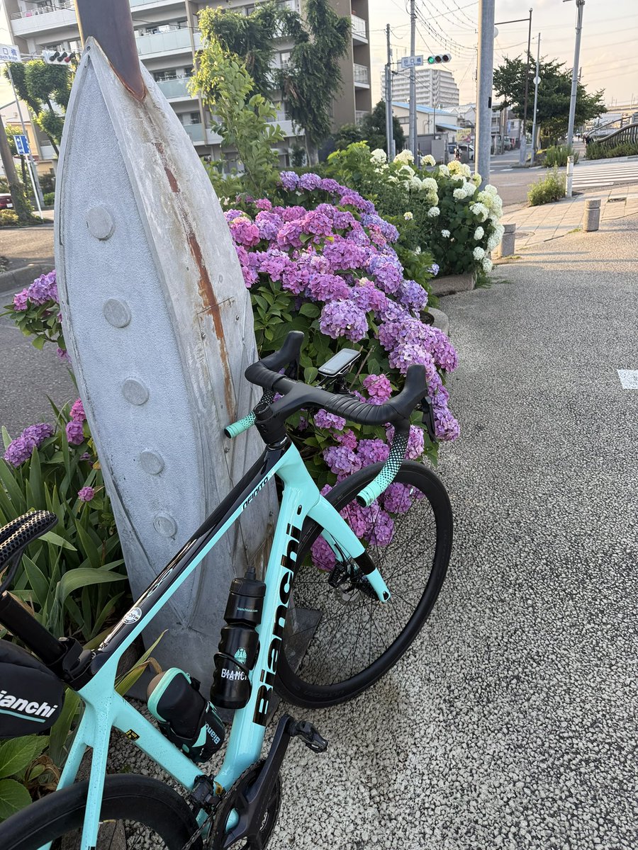 ct0_ax's tweet photo. 昨日は15:00頃から🚴‍♂️夕方にかけて涼しくて走りやすかった👍
#ロードバイク乗りと繋がりたい #ロードバイク https://t.co/IaOESyDi15