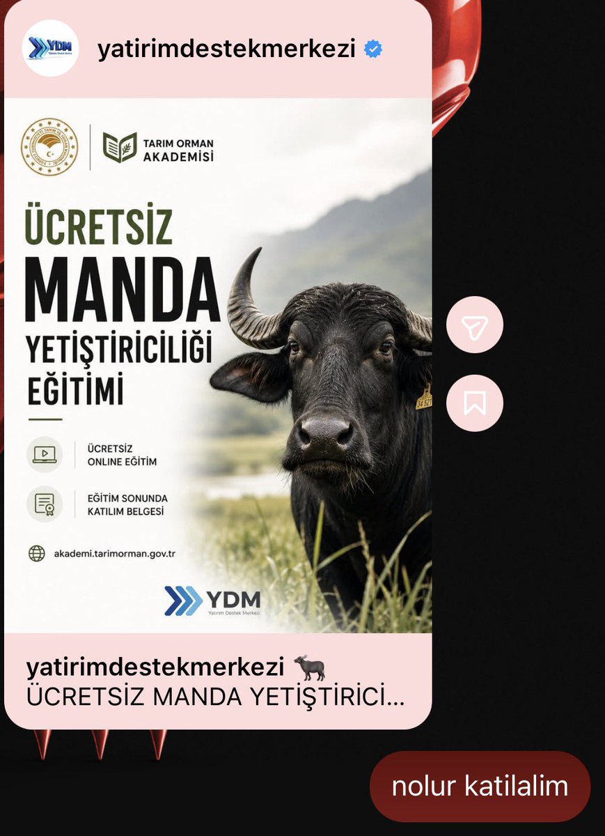 defdnl's tweet photo. vizelere calismamak icin her sey https://t.co/m1dsl2JIkQ
