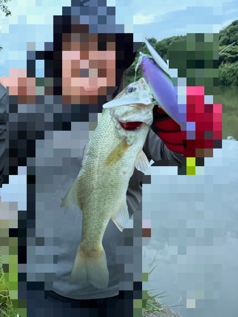 Renacho_1101's tweet photo. 仕事終わりやら日曜日早朝からetc.....
夫婦共々シーンをあまり気にせず
好きな物ばっか使うから実績少な(   ´∀`)笑
今日に至っては霞ヶ浦4時開始で休憩挟んだけど釣れたのニゴイのみ😌爆笑
いつ来ても霞ヶ浦相性悪い😌笑 https://t.co/WoKIPSMmC2