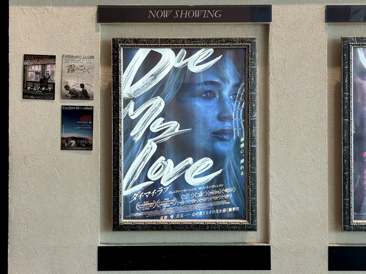 choco__latier's tweet photo. ⛰️シラート
音の使い方が天才すぎて、最高の映画体験でした💯
前に進む人を見て祈ることしかできない、無力感と絶望

👶DIE MY LOVE
産後鬱の描写は観てる側も気が狂いそうなほど不安定で、どこまで現実かわからない恐怖
ジェニファー・ローレンスが美しいだけじゃなく、心が崩れていく演技が凄かった https://t.co/oKt5ReY1av