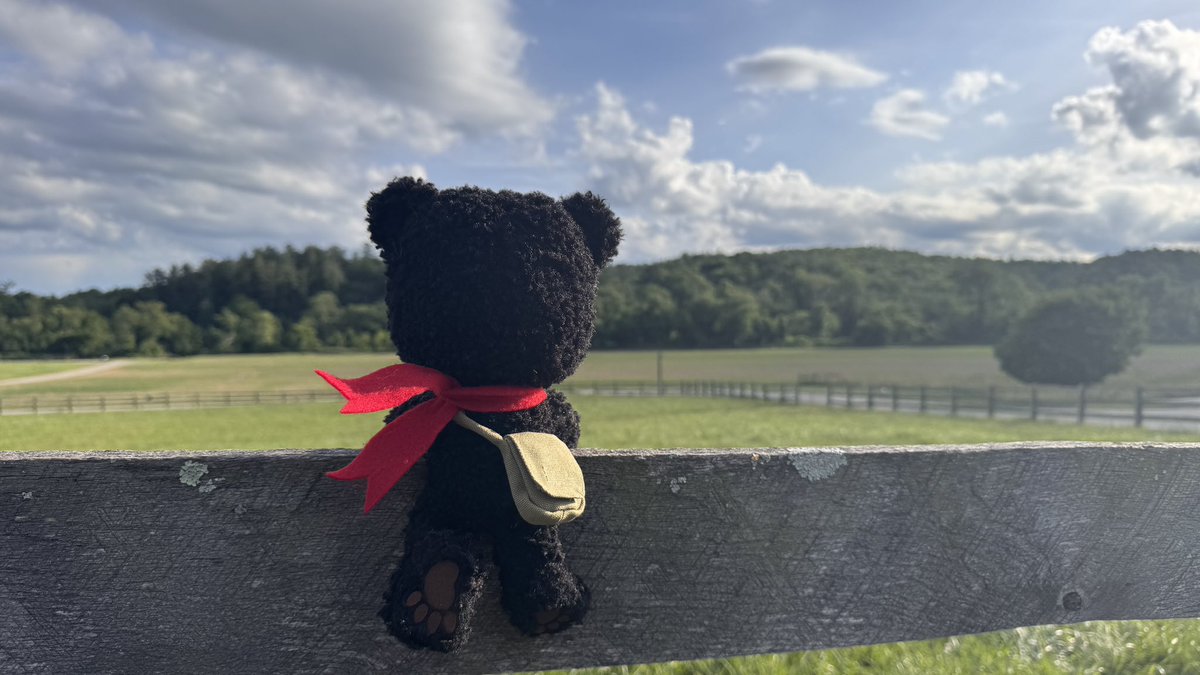 heretherebear's tweet photo. The future looks bright. https://t.co/q8vyjCw3xj