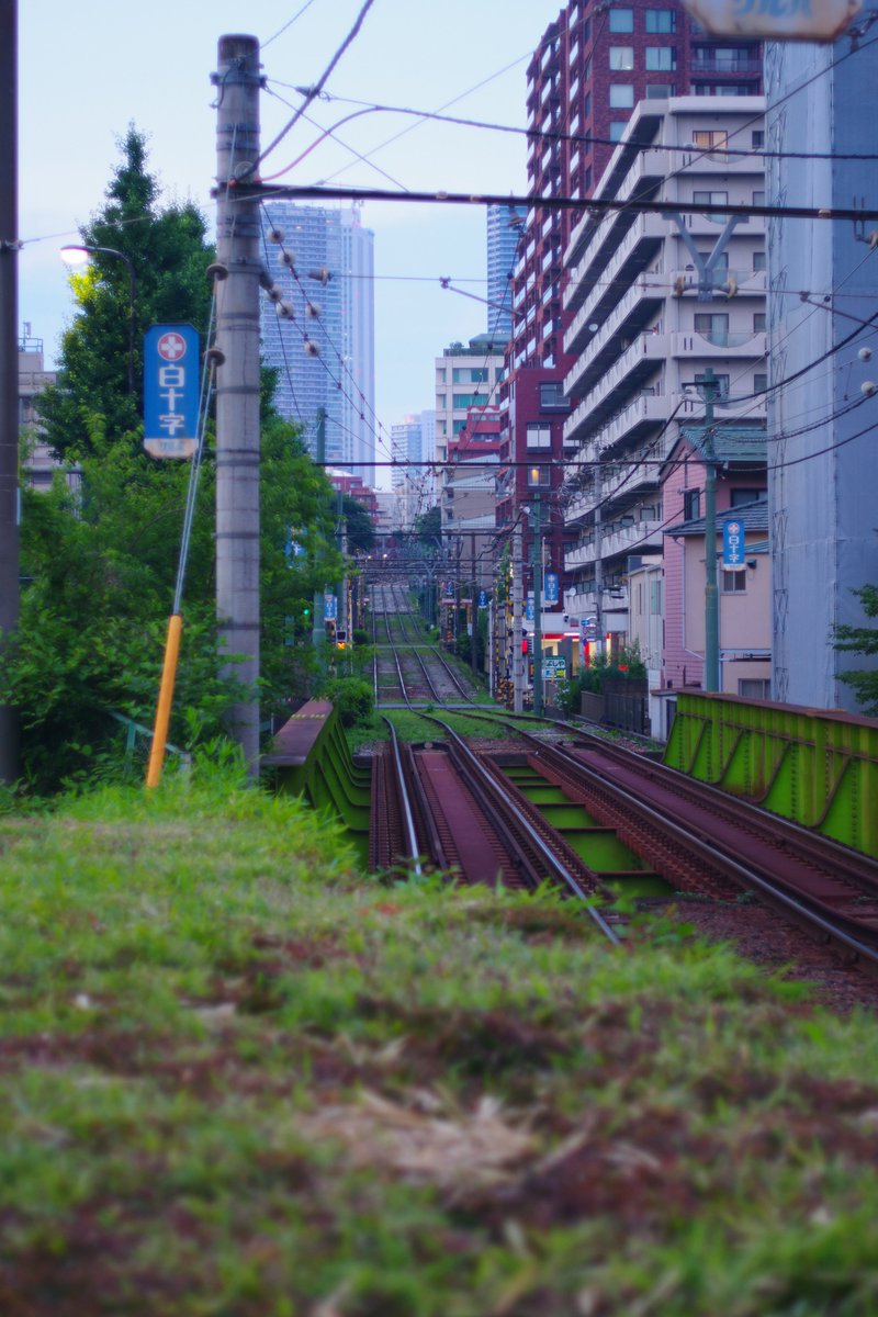 dattsun_foto's tweet photo. 昨日は結局新宿まで歩いてしまった
まあまあな距離歩いたけど、写真撮ってたら
あっという間だった
今日はやや筋肉痛...
📷:Pentax K-3 markIII
レンズ:XR RIKENON 50mm F2 L
CI:鮮やか
#pentax #k3mark3 #オールドレンズ #紫陽花 #バラ https://t.co/Ttuyns5oB5