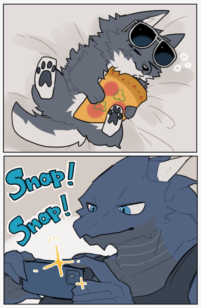 Shark_doragon's tweet photo. 📸🐺💤 https://t.co/Xhu1F1U1dP