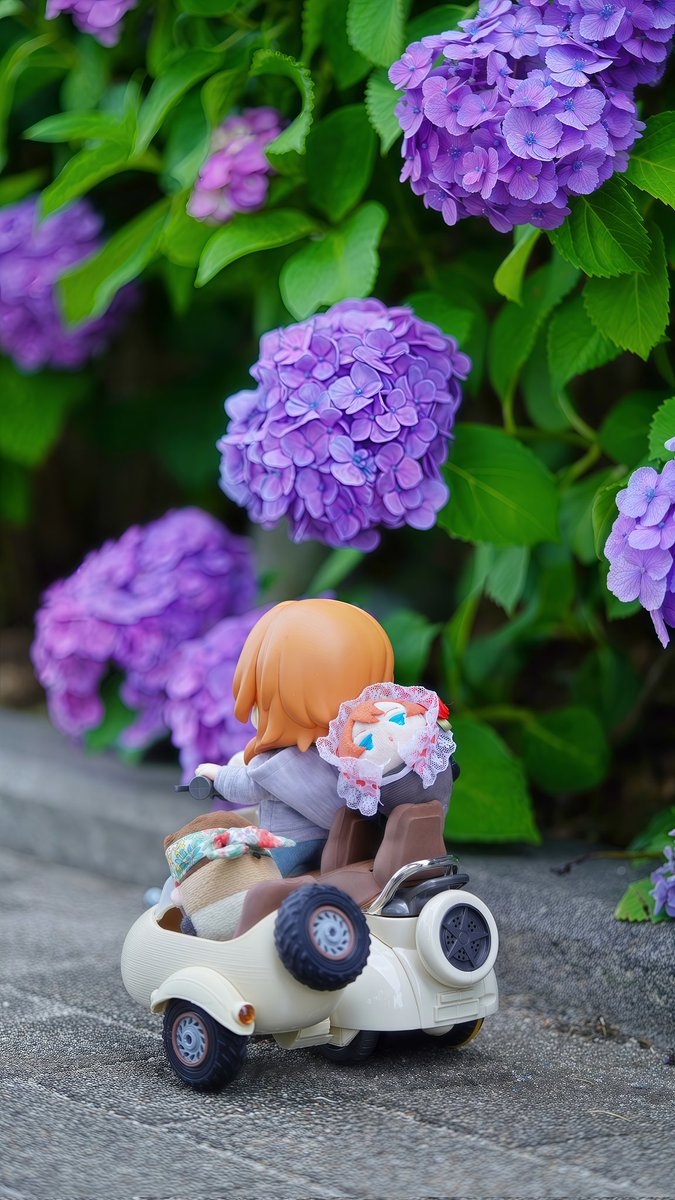 chierin71's tweet photo. 紫陽花 &amp; お散歩
ちゅや

違う視点のバイクの後ろ姿
ミニもちしっかり座席にフィット
後ろ姿もかわいい✨

6/11 シンボルプロムナード公園📸 https://t.co/NITIrPCFoK