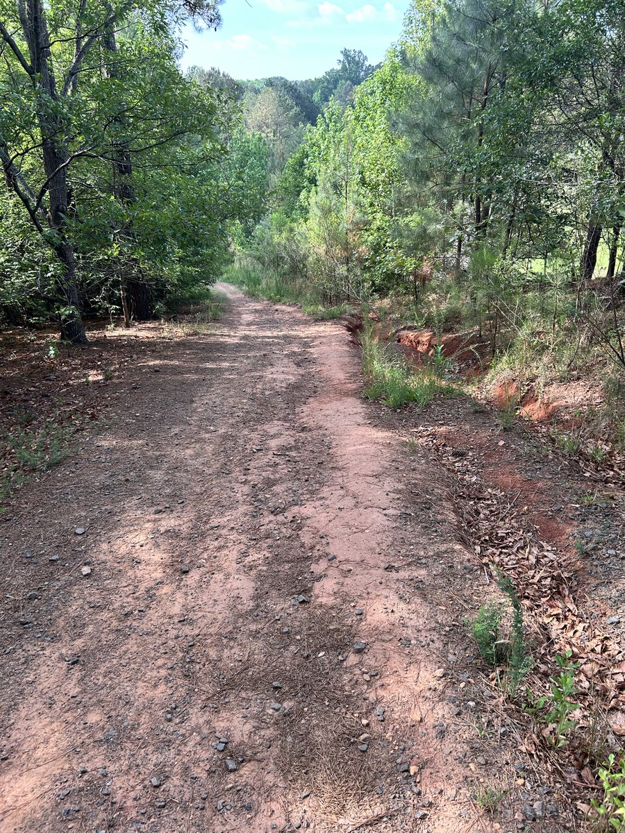 CountryReins's tweet photo. Sunday morning hike https://t.co/jF0pyW3YBW