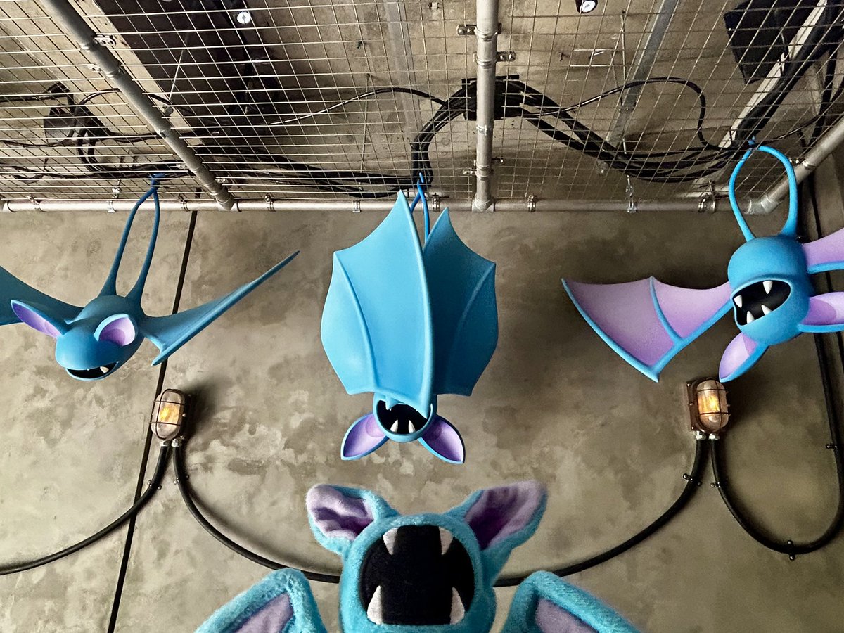 99box's tweet photo. ポケパークカントー行ってきた〜〜！！ポケモンがいたるところで生きていて、ヤバいを連呼しまくりのいちにちでした〜〜ヤバい！！！ゴルバットちゃんお写真に納め忘れちゃったけど、３匹連れて行けて良かった〜〜🦇 https://t.co/yuNJOjsG0u