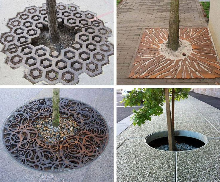 LeoDaVinciWave's tweet photo. Tree grates. https://t.co/f1z4ykvQJo