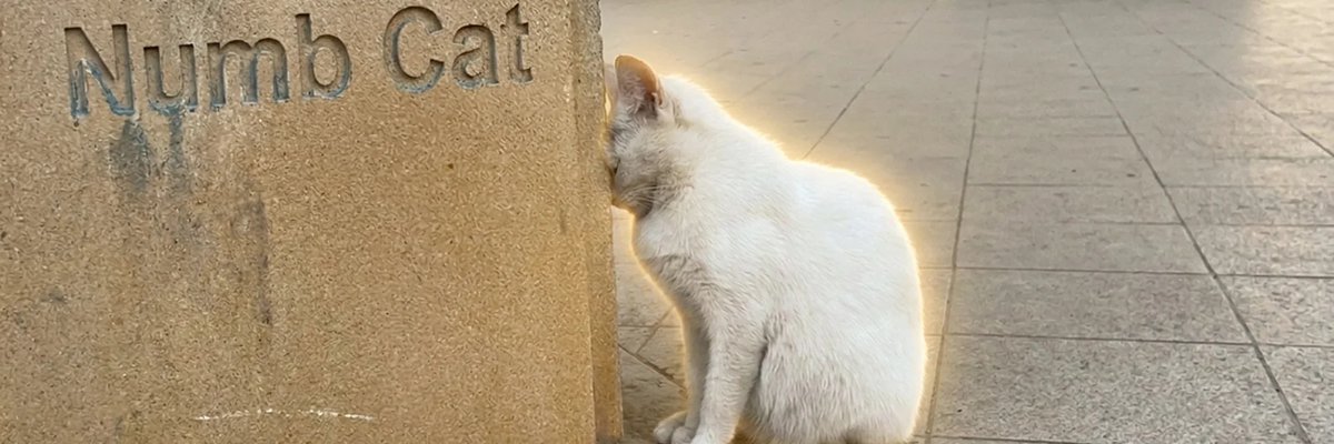 jesse_0466's tweet photo. Numb Cat | $NUMB

A video of a cat pressing its head against a wall is going EXTREMELY viral with over 50 MILLION views and 7 MILLION likes in just a few days.

https://t.co/Fl4StjmHlJ

This PERFECTLY captures the mood of every trencher right now. 😭

"Numb" is the perfect name because you're not even sad anymore... you just stop reacting.

Sooner or later, every trencher turns into Numb Cat.

CmFLTZfo9u7eCrD1Z7rcpPrShDq7XeAhA7EPmBgVpump