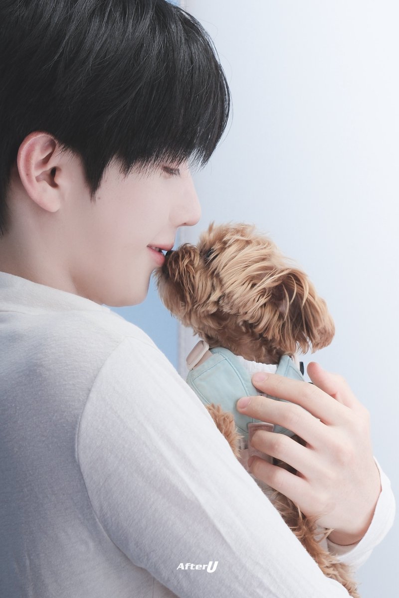afterU_YS's tweet photo. 260613
 강아지 귀여웡 ♡

#SYNTHESISOFLOVE_REACTION613
#유영서 #YOUNGSEO #영서
#BAE173 https://t.co/lRQbndJXU8
