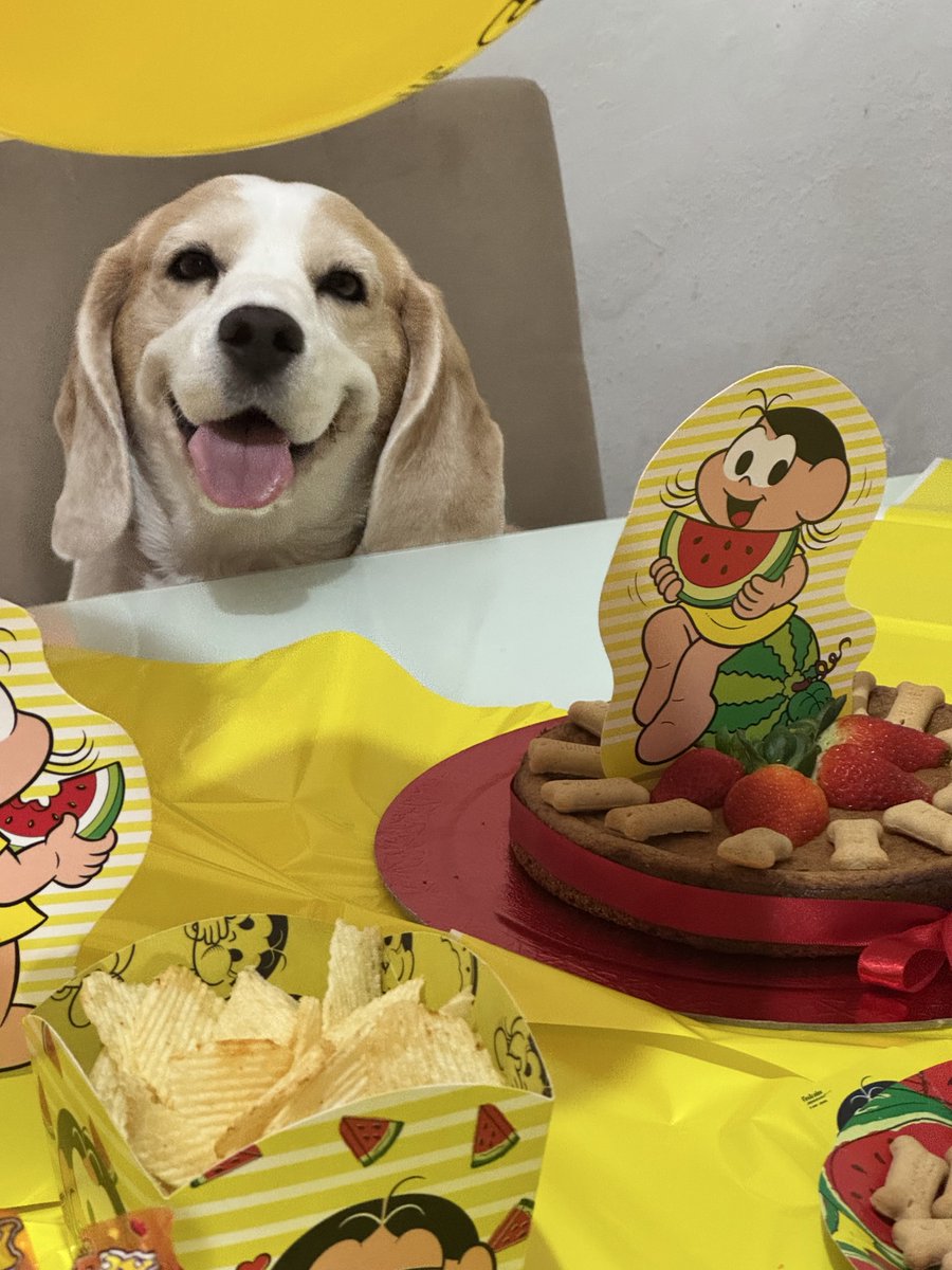 bameras's tweet photo. @beaglefacts https://t.co/i4FFLjejC3