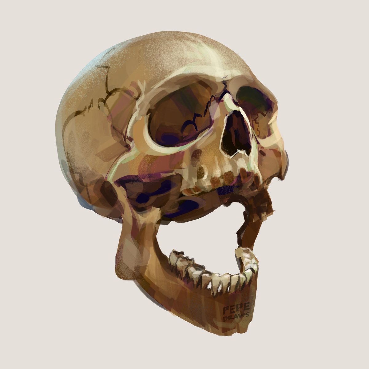 pepedraws's tweet photo. Study Sunday 💀
•
Playing with colors and a more painterly approach 
#DigitalArt #Procreate https://t.co/wlhNw803KE