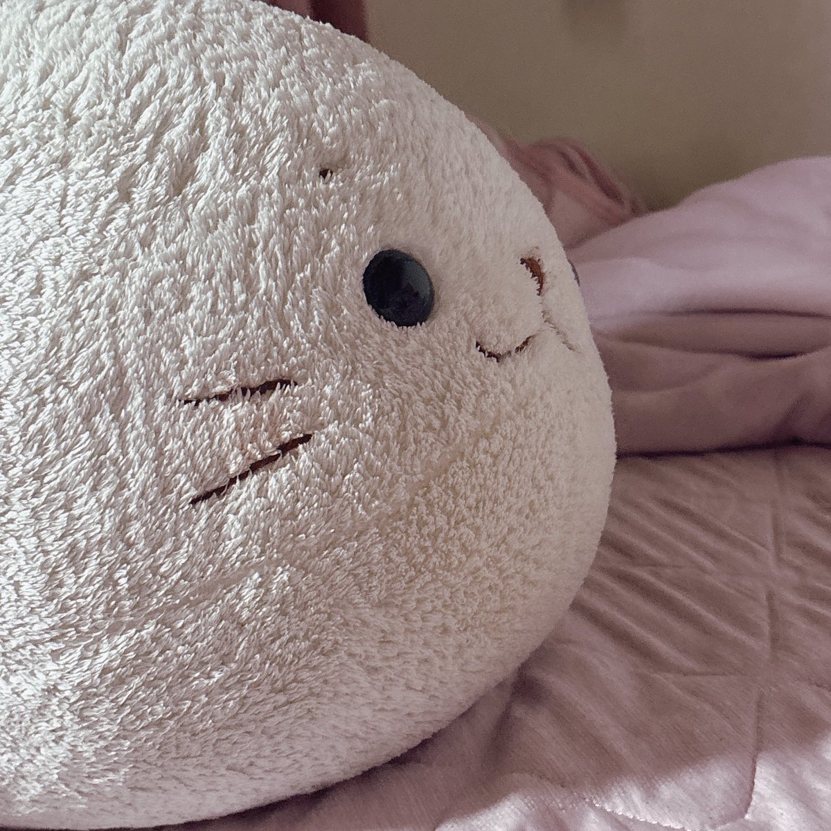 8mmmo's tweet photo. はぁ…今夜もむぎゅとろの横顔が良すぎる https://t.co/IFZ5Tdi9kY