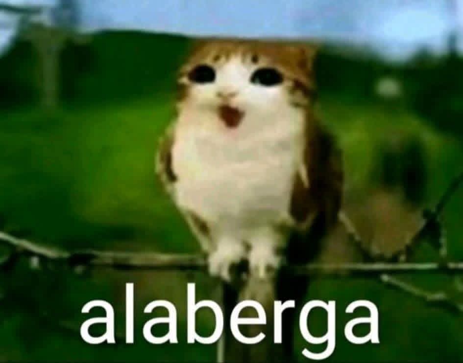 arturo_leoncio's tweet photo. @CartoonsOTMoon No me jodas este men NOOOOO!!!! https://t.co/1KiQZQjdec