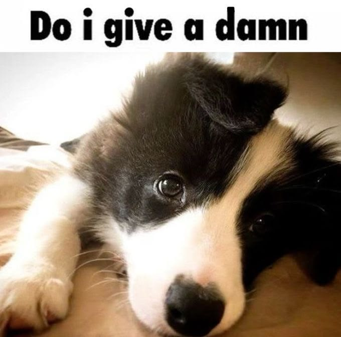 Cement_doggy's tweet photo. https://t.co/9wu7QbWFCx