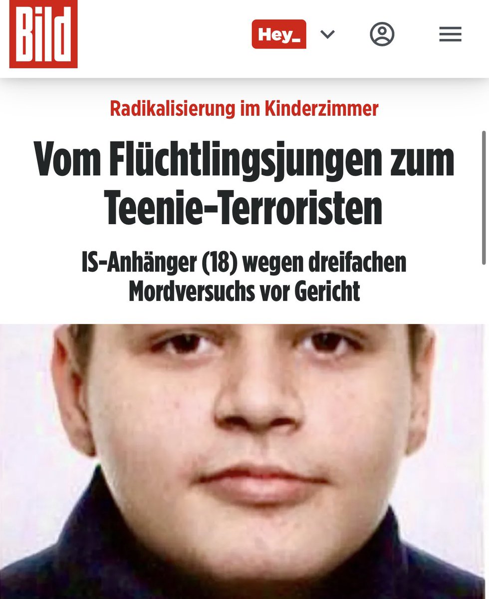 Gerald Grosz tweet media