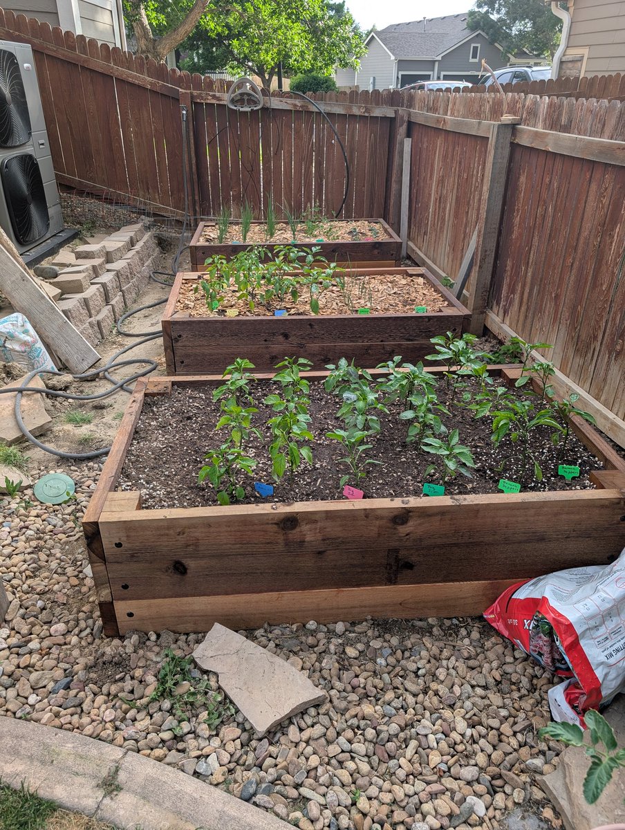 DanRodda4's tweet photo. @ThoughtCrimes80 My dad was a CSU grad in the 60's.  My garden is small, but I'm working on it. 5th Gen native.  My family came here in the 1800's and settled a ranch that is most of what's Arvada now. https://t.co/dOSHw7O62m