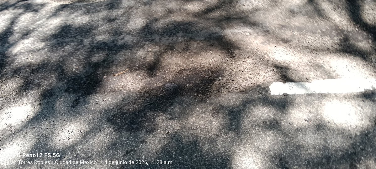 TORRESROBLES1's tweet photo. Y la 3era Vez que realizó este reporte sobre canal d Miramontes frente al 2355 Col Avante entre Pedro Arvizu y Rt 69 ya está más grande @SOBSECDMX @telediario @Alcaldia_Coy @GobCDMX @JerrxG13 @erickbullnews  ya la Carpeta Asfáltica se está desmoronando siendo riesgo mayor https://t.co/lRYqVbYqR8