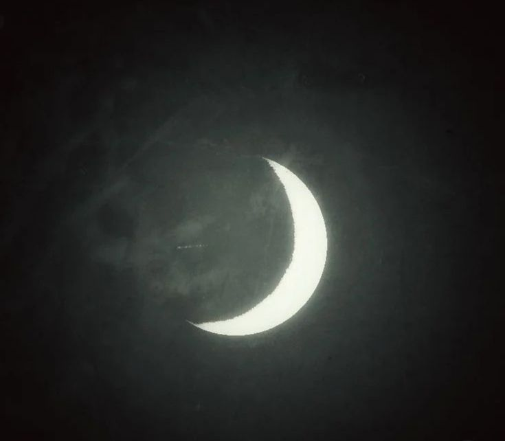 moonhauntsme's tweet photo. new pinned 🍒 #moothunt〃・ 

✦ age: 29 | 21+ only for moot
✦ pronouns: she/they
✦ interests: marvel rivals, ffxiv, osrs, league
✦ other things: aot, sleep token, metal music, country music
✦ DNI: mdni, pure nsfw/OF, edtwt, shtwt

♡/↻ for moots ₍ᐢ. .ᐢ₎ https://t.co/hq044Im6rh
