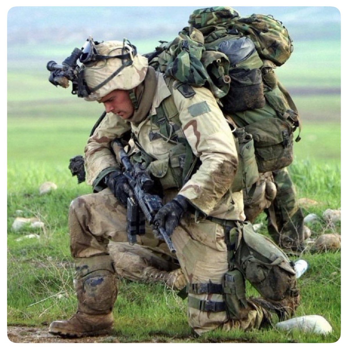 Military Support tweet media