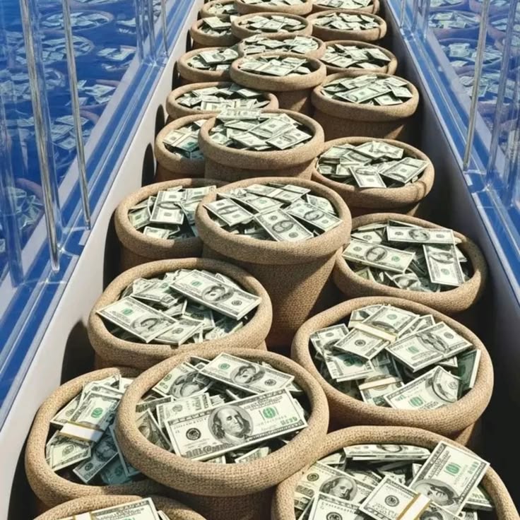 Maansi880317's tweet photo. 💰 You open a bag and find $1,000,000 inside... What's your very first move? https://t.co/tfaUhDumAp