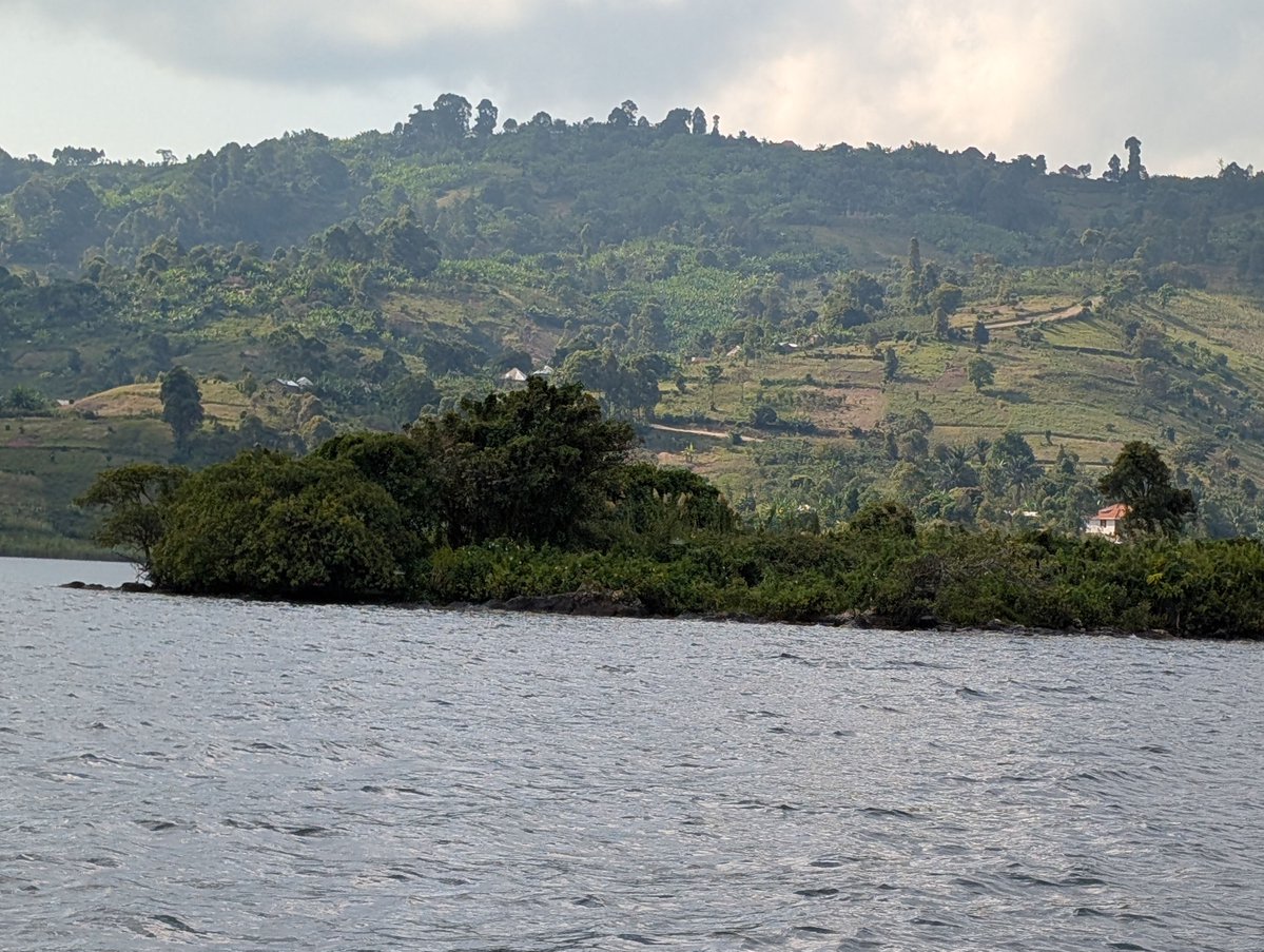 gentilkas's tweet photo. 🇨🇩Le Lac #Kivu est un joyau naturel. C'est un lac de la vallée du Rift mesurant environ 89 km de long sur 48 km de large. Le lac est niché dans une région montagneuse. Il abrite de nombreuses îles, la plus grande étant l'île d'Idjwi. Ses rives ont des paysages magnifiques. https://t.co/yOProNUbmw