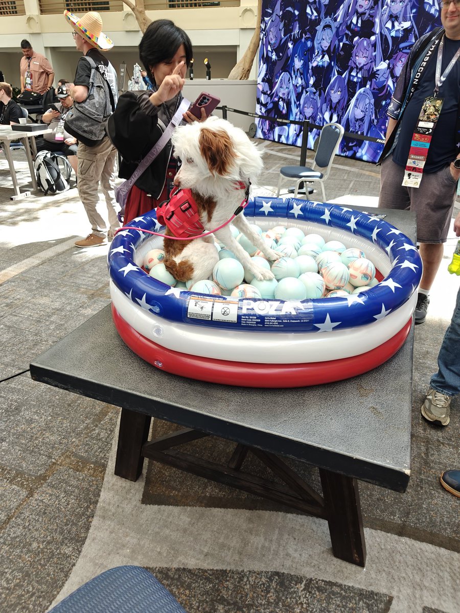 Reshotski's tweet photo. Doggy in the Jorb Pit hell yeah #PhaseCon2026 https://t.co/AMp180k74K