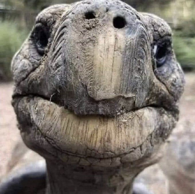 SundaeDivine's tweet photo. Here's Jonathan. He was born in 1832 and he's 194 years old. He's also Mitch McConnell's younger brother. https://t.co/EmBHxRO2Ak