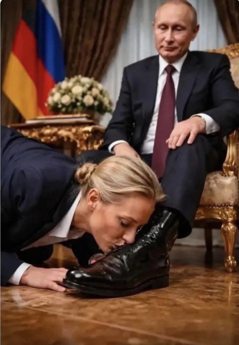 timtowonder's tweet photo. @Alice_Weidel https://t.co/NDcr4ldv4t