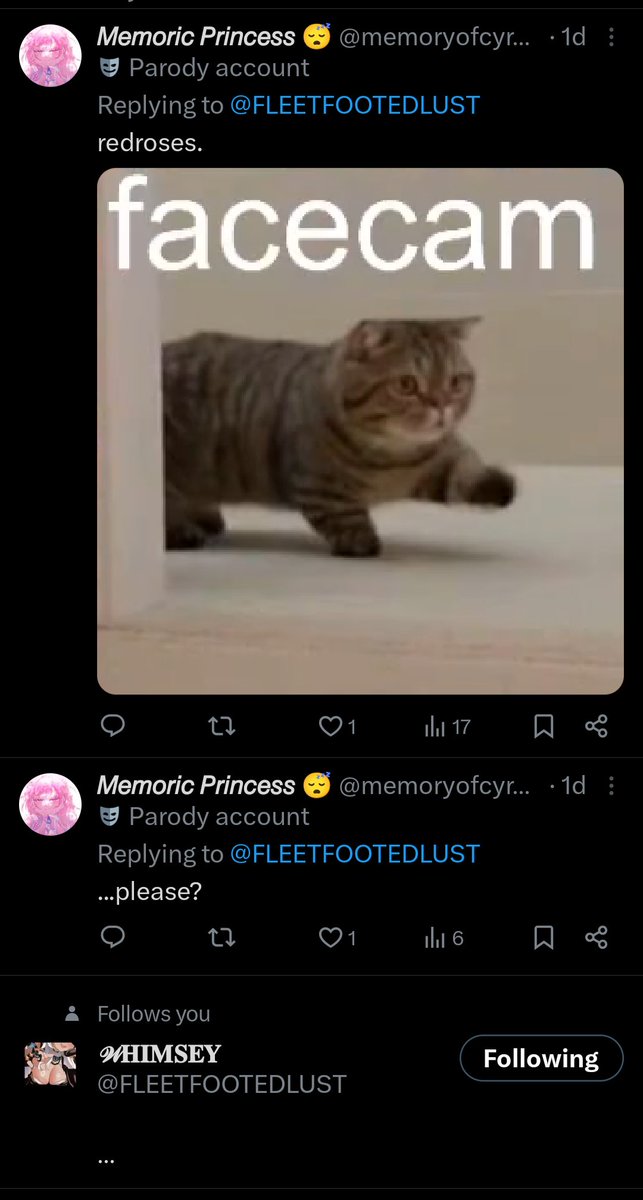 𝘔𝘦𝘮𝘰𝘳𝘪𝘤 𝘗𝘳𝘪𝘯𝘤𝘦𝘴𝘴 tweet media