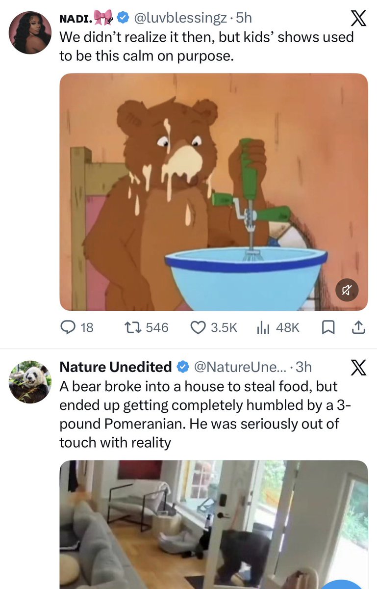 JessiMaiJ's tweet photo. I guess this mornings algorithm is……..bears…..? https://t.co/F93To3HNCr