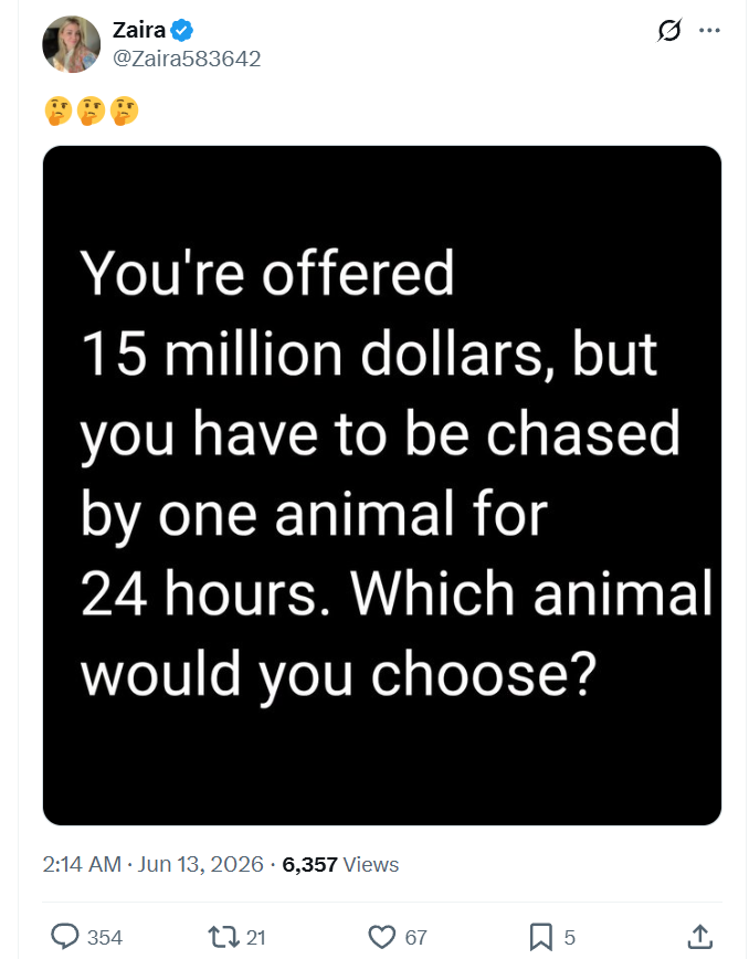 Nemo688507's tweet photo. "Zaira" (Zaira583642), an overseas engagement farming has 354 replies &amp; counting. Replies "feed the beast." Accounts like this use the mundane &amp; "grief bait”. Fake AI grief, steal real grief posts, or steal lovely images/content from dog &amp; cat accounts. Don't "feed the beast"! https://t.co/K9QKh0rn3Z