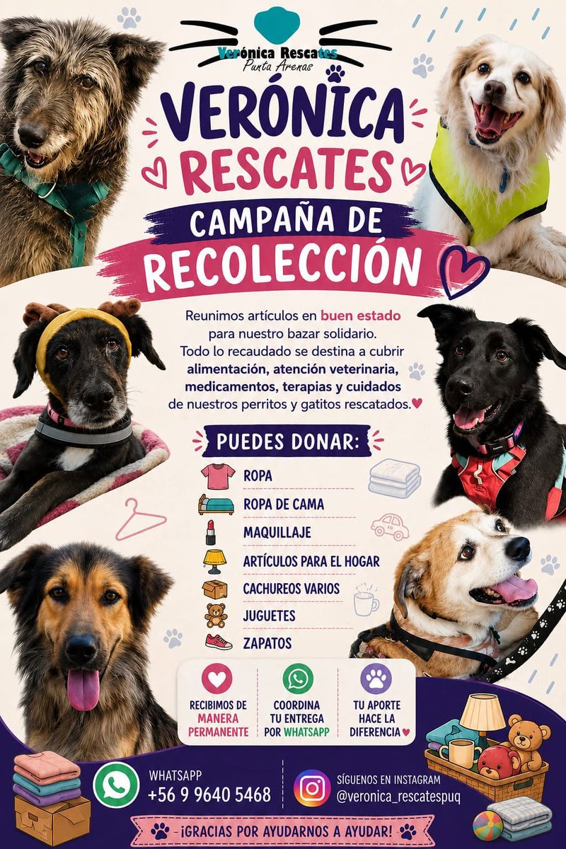 eltuitdemarsh's tweet photo. "Necesitamos donaciones para nuestros bazares. Recibimos todo tipo de ropa, zapatos y carteras. También juguetes, peluches, utensilios de cocina, herramientas y adornos. Todo irá en ayuda de nuestros rescatados." Si deseas donar, comunícate al +56996405468. Favor RT!
#PuntaArenas https://t.co/eVLDKlgYTQ