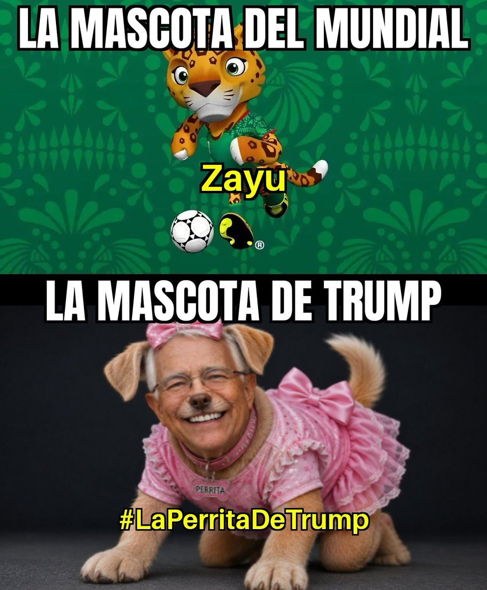 ROBERTOPROAMLO's tweet photo. @RicardoBSalinas Para mascotas estas! 
👇🏻👇🏻👇🏻👇🏻 https://t.co/1HinOi4lx9