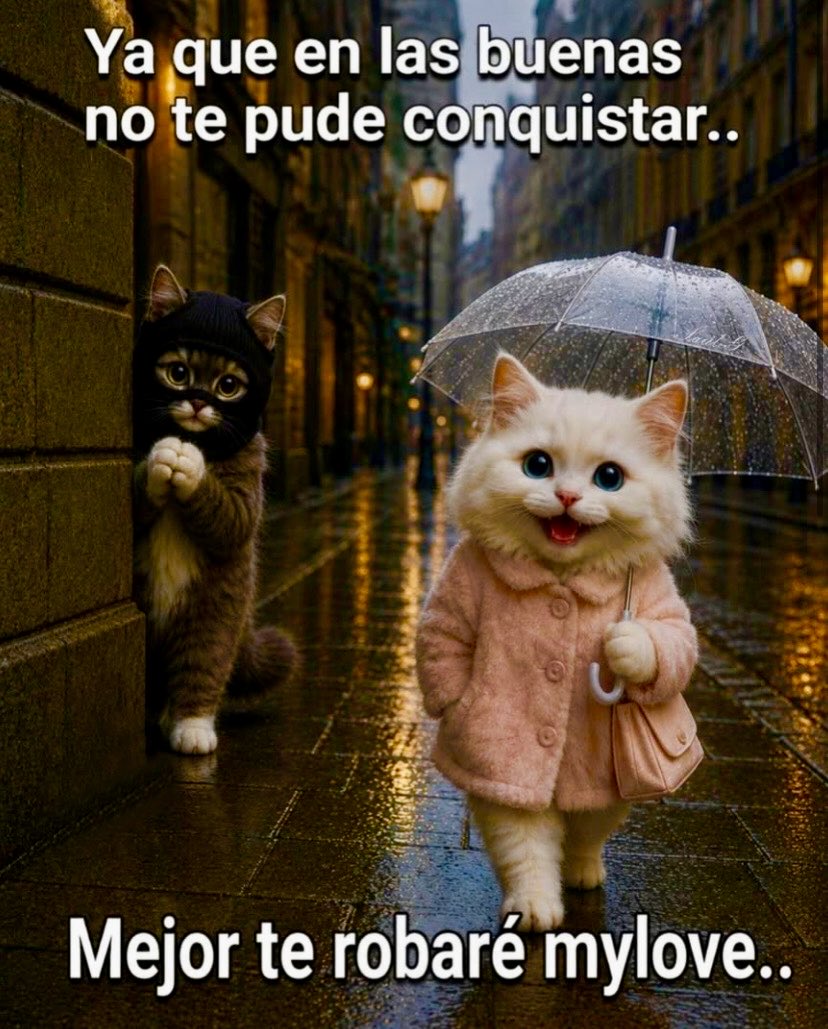 PipoQjode's tweet photo. Todavía tengo algo de romanticismo.🤭🤣🤣🤣🤣🤣 https://t.co/DeUt8Vtiqp