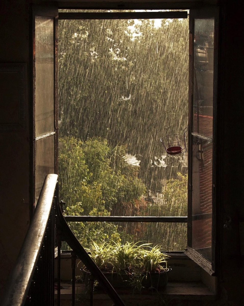 Vattu007's tweet photo. [Today I stood by the window, watching the rain tap the glass—small, quiet moments make the heavy day a little softer. ]， https://t.co/MNBxOpn2x0