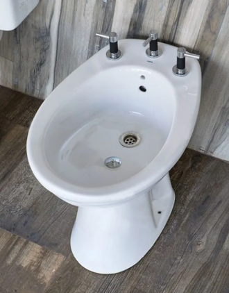 2m2elle's tweet photo. @Deuce_D20 El bidet se intento en el año 1600 y actualmente solo se utiliza en Argentina, no inventaron nada https://t.co/nCTd8slExk