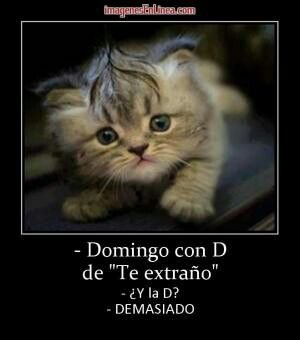 kakatuns's tweet photo. Buenos días https://t.co/MU5vfkHiqU