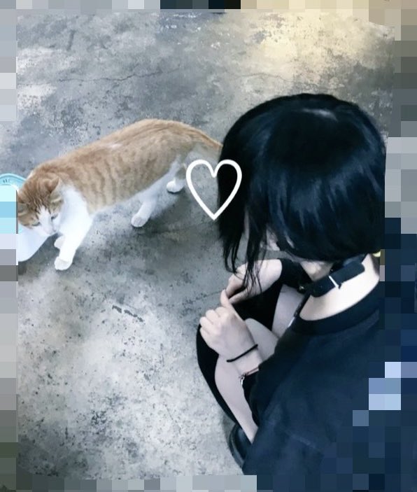 Tettelwec's tweet photo. また会いたいよ♡ https://t.co/XeKwXuevnm