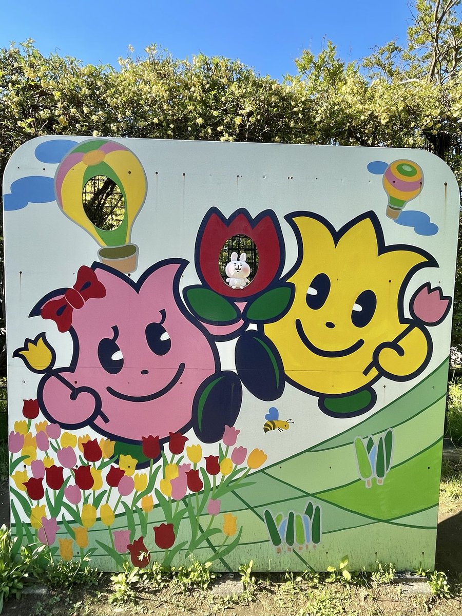 knpsus_'s tweet photo. 富山ではチューリップ祭りにも行ったよ🌷
北陸にはとっても珍しい快晴でした☀️
5月上旬なのに暑かったー！

#カナヘイ
#ゆるっと写真同好会 https://t.co/PiYGqLv6co