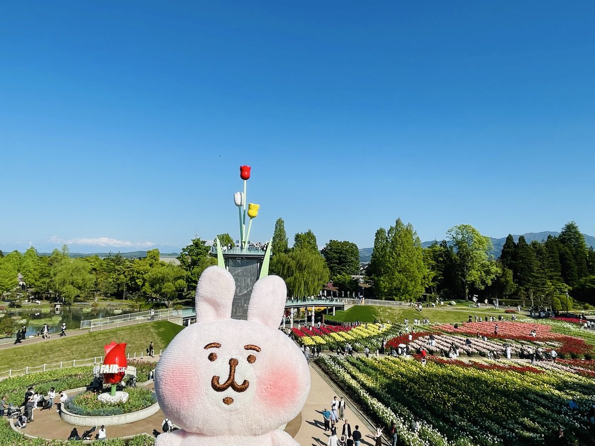 knpsus_'s tweet photo. 富山ではチューリップ祭りにも行ったよ🌷
北陸にはとっても珍しい快晴でした☀️
5月上旬なのに暑かったー！

#カナヘイ
#ゆるっと写真同好会 https://t.co/PiYGqLv6co