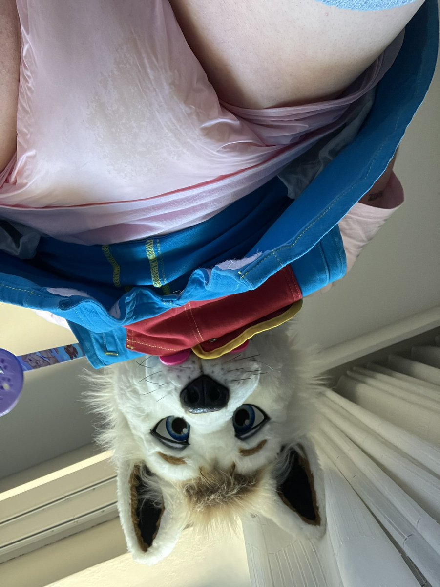 damaronwolf's tweet photo. ���Show them off lil princess.”
“Huh buh?” 
“You know what I’m talking about, cmon”
*velcro sounds*
“Oh yep quite the soggy wolfy, bet you’re ready for a change”
*blushes and nuks on my paci* https://t.co/XHjq3Bsu3w